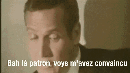 GIF Bah là patron, vous m'avez convaincu